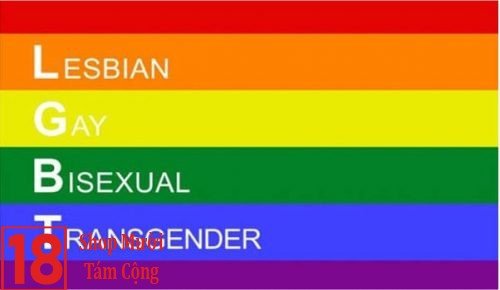 Mỗi màu sắc trên các lá cờ LGBT lại mang những ý nghĩa riêng 
