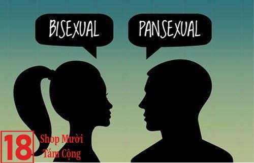 Bi và Pan trong LGBT chỉ tương tự chứ không giống nhau hoàn toàn